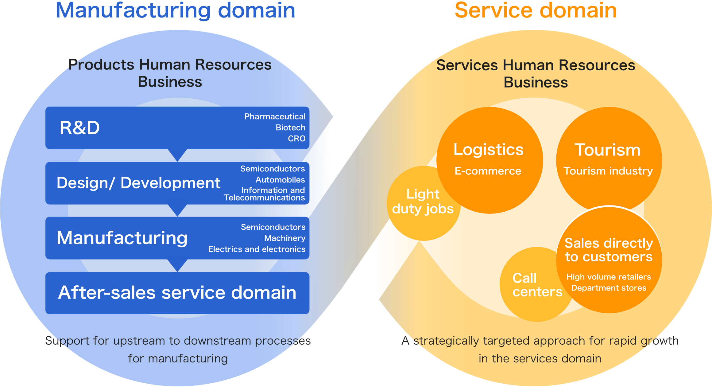 Business domains of the human resources and education business