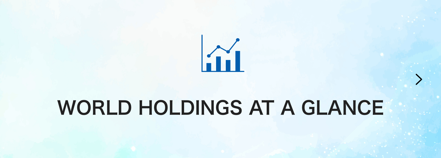 WORLD HOLDINGS AT A GLANCE