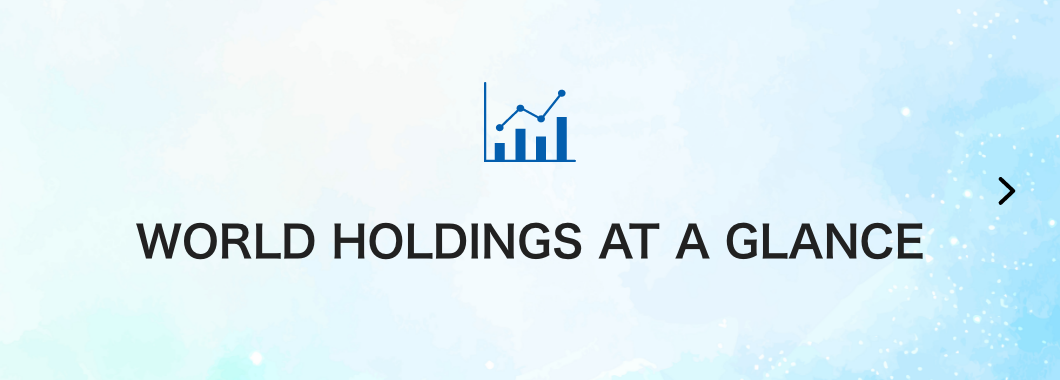 WORLD HOLDINGS AT A GLANCE